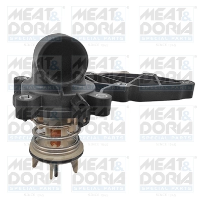 Thermostat, coolant
